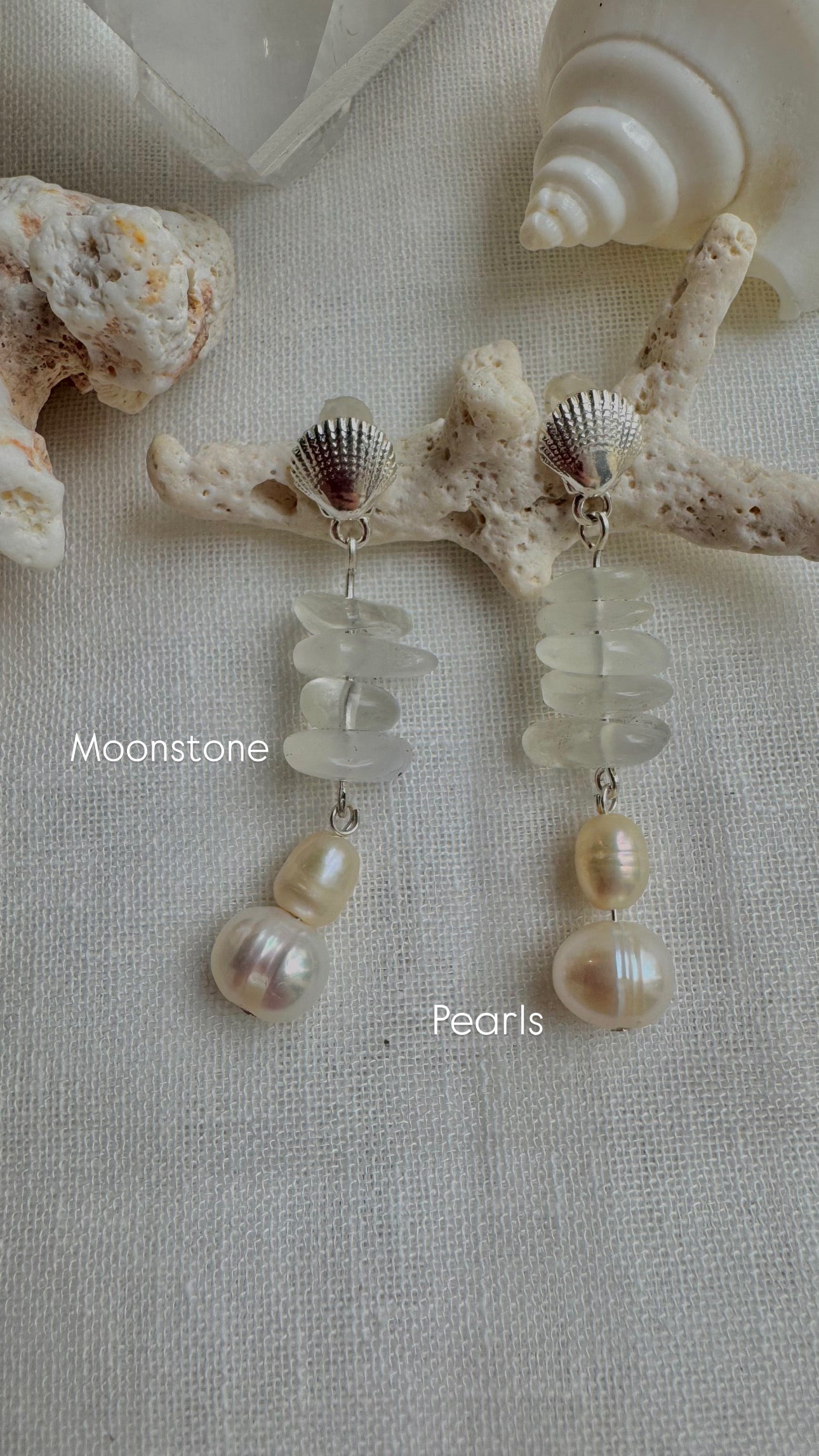 Silver shell Hoops