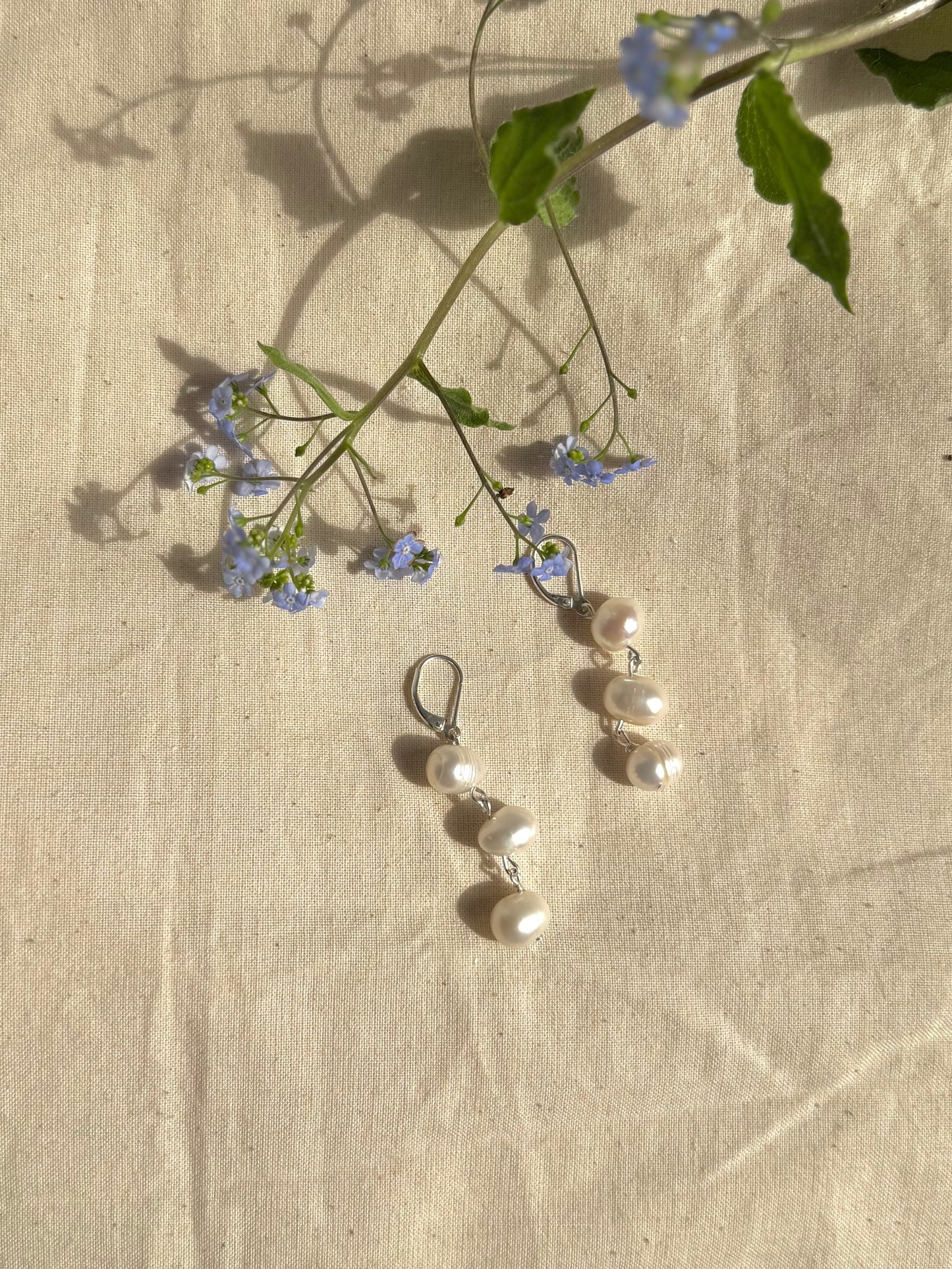 Anne Hoops