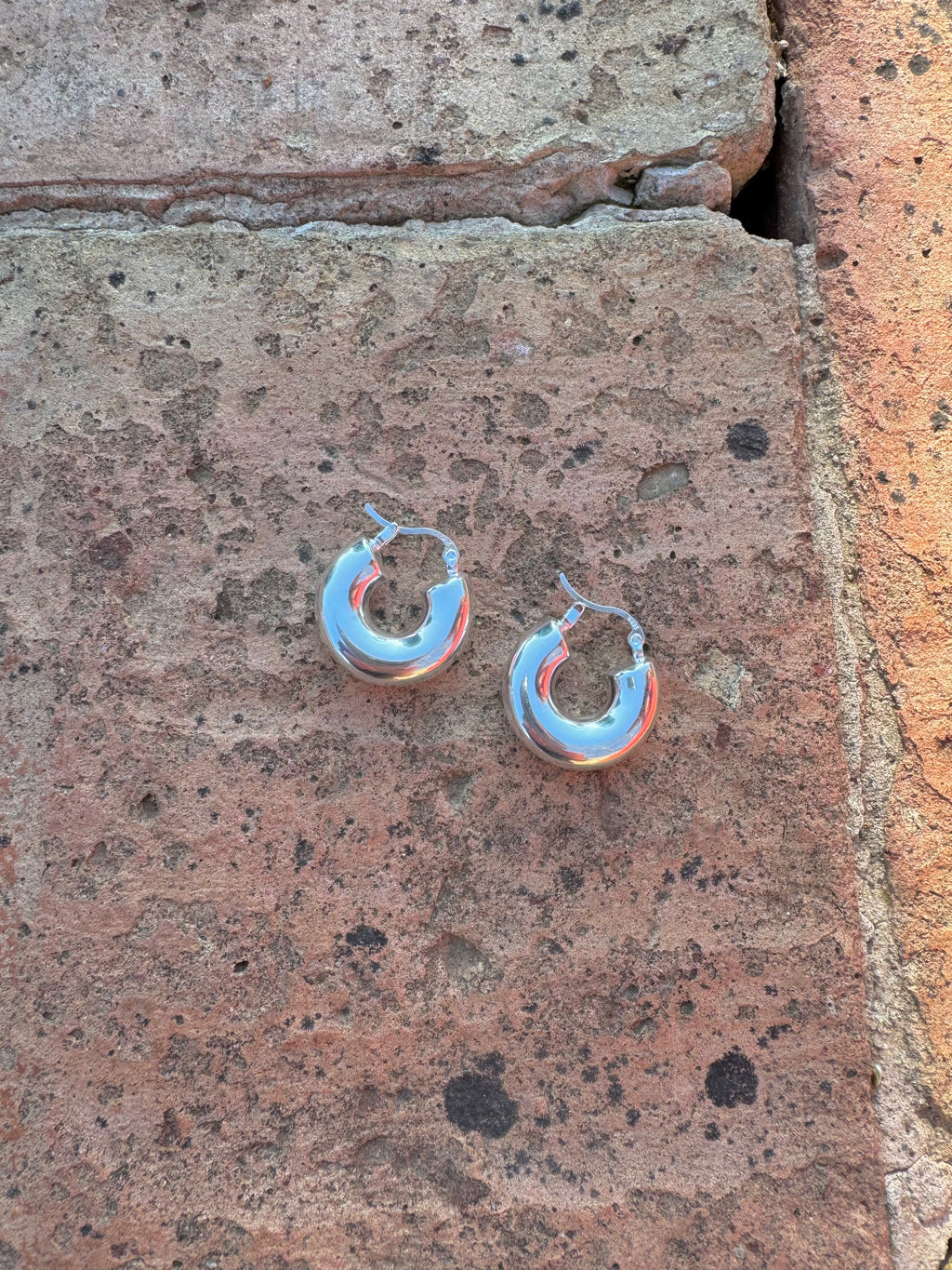 Chloe Earring