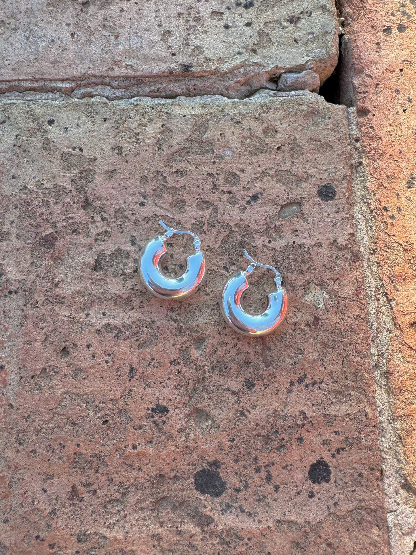 Chloe Earring