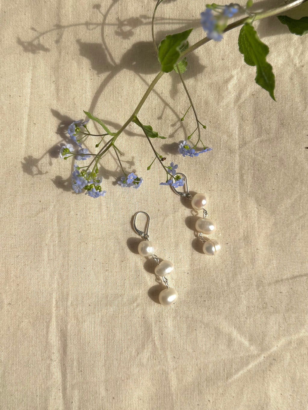 Anne Hoops