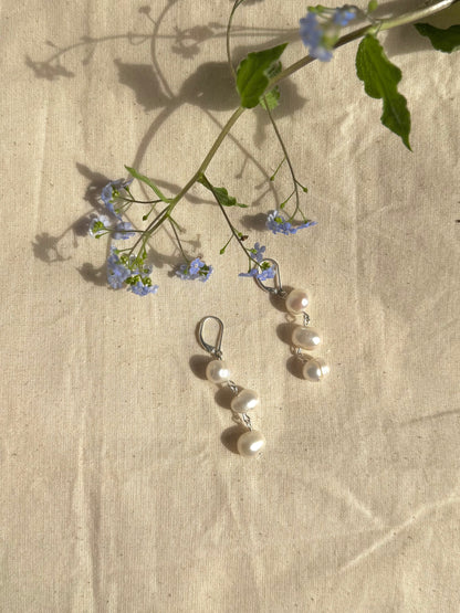 Anne Hoops